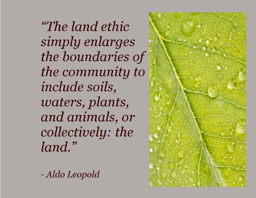 A land ethic .jpg