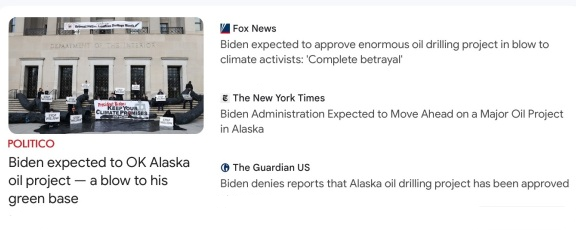 Alaska Willow - March 12 2023.png