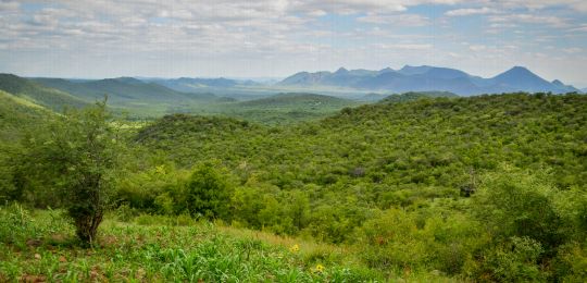 Angola forest INDC goals.jpg