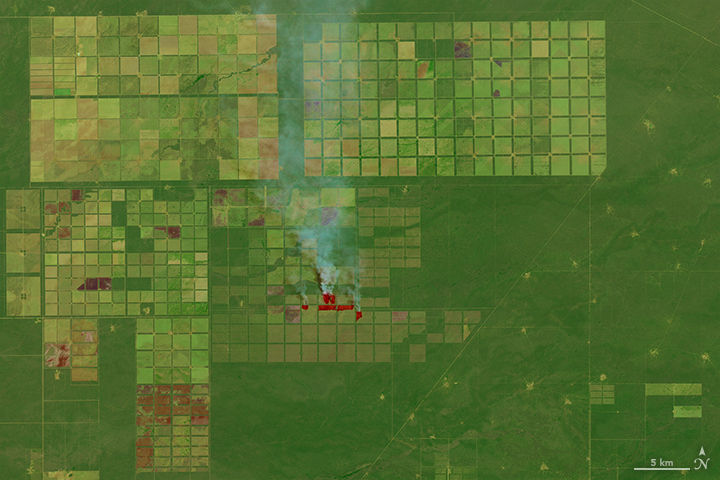 File:Argentina chaco forest change to livestock and crops.jpg