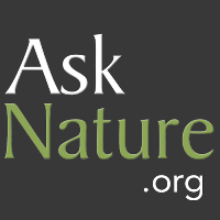 AskNatureAvatar s.png