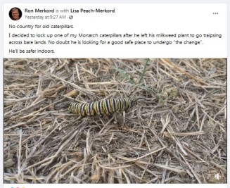 File:Before the Whoosh Transformation.jpg