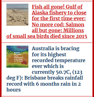 Big Wobble headline posts.jpg