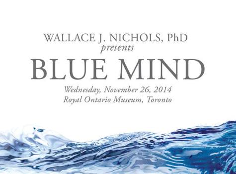 Blue Mind.jpg