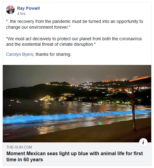Blue bioluminescent plankton in Acapulco.jpg