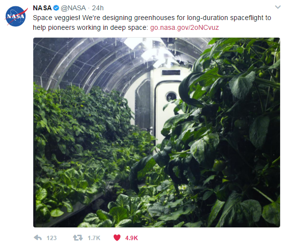 Bruce Dern memorial garden.png