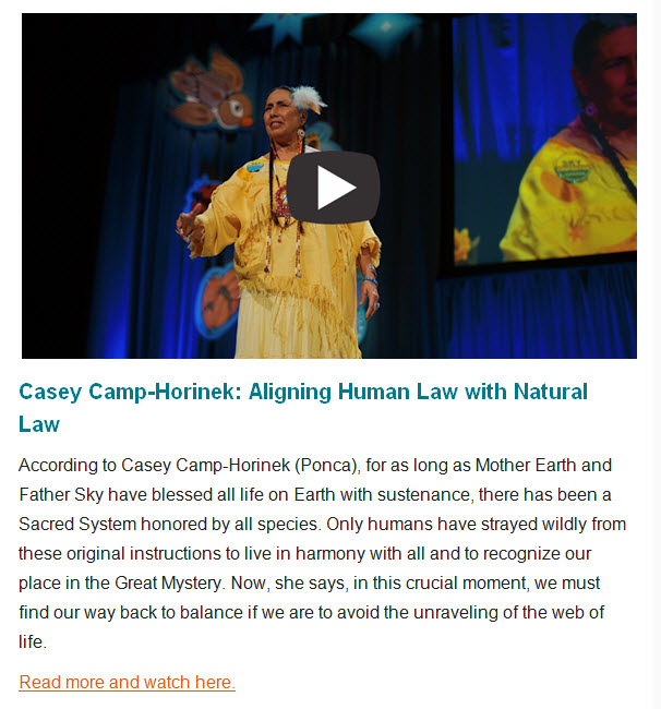 Casey Camp-Horinek.jpg