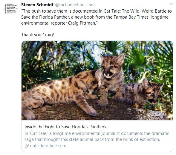 Cat Tale by Craig Pittman.jpg