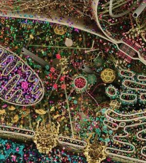 File:Cellular Landscape.jpg