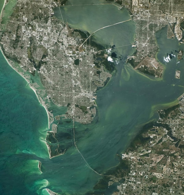 Clearwater, Florida, Tampa Bay.jpeg