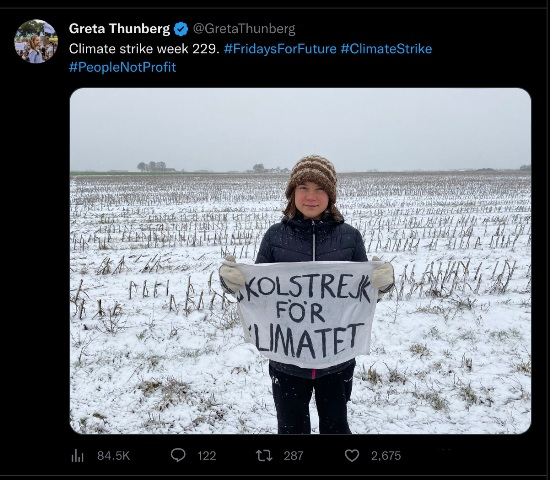 File:Climate Strike Week 229.png