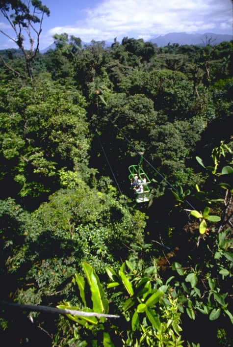 DON PERRY RAIN-FOREST-AERIAL-TRAM m.jpg