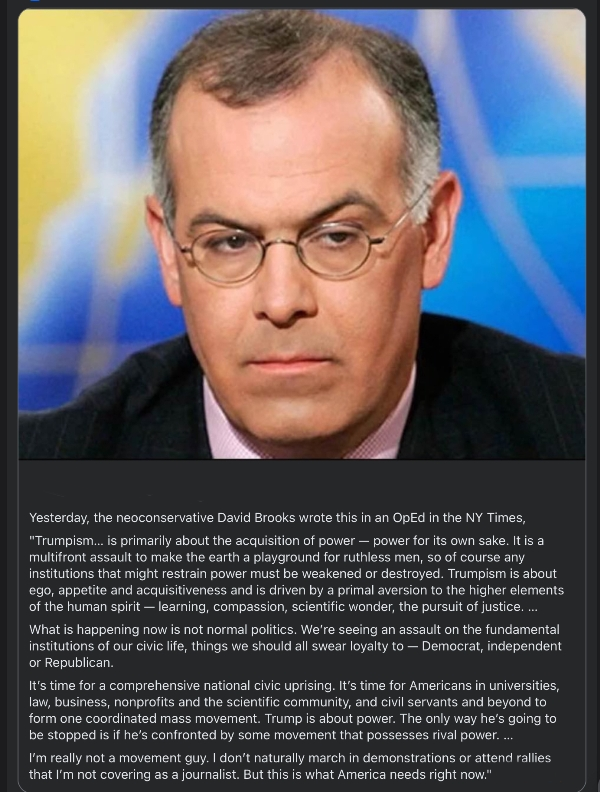 David Brooks acquisition of power opinion - July 2025.png