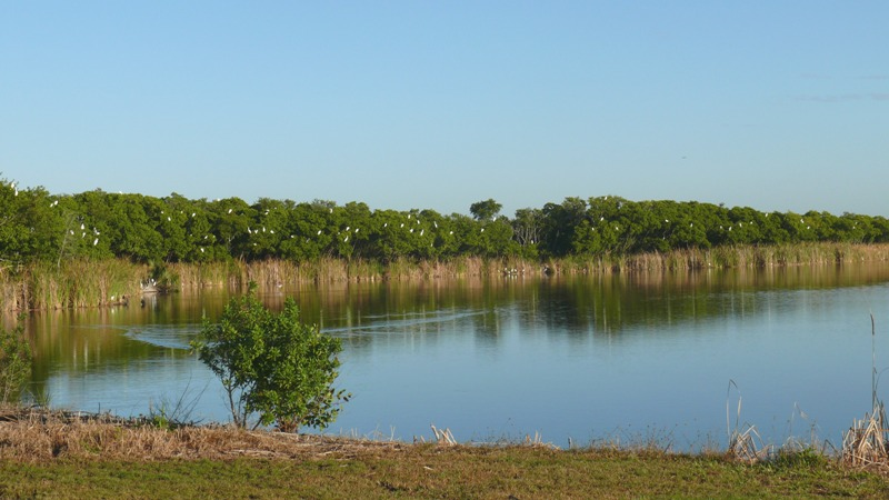Estuary in Clearwater on Tampa Bay Photo by Steven Schmidt - GreenPolicy360.png