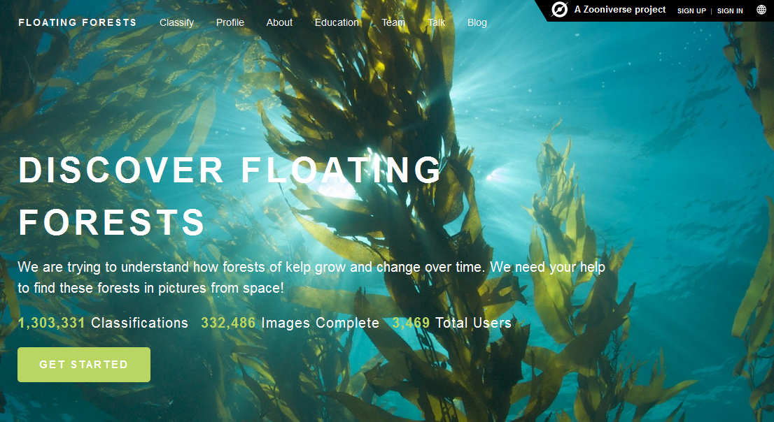 Floating Forest Project.png