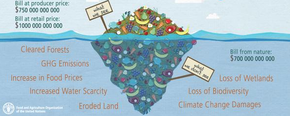 Food waste, visible and unseen impact.png