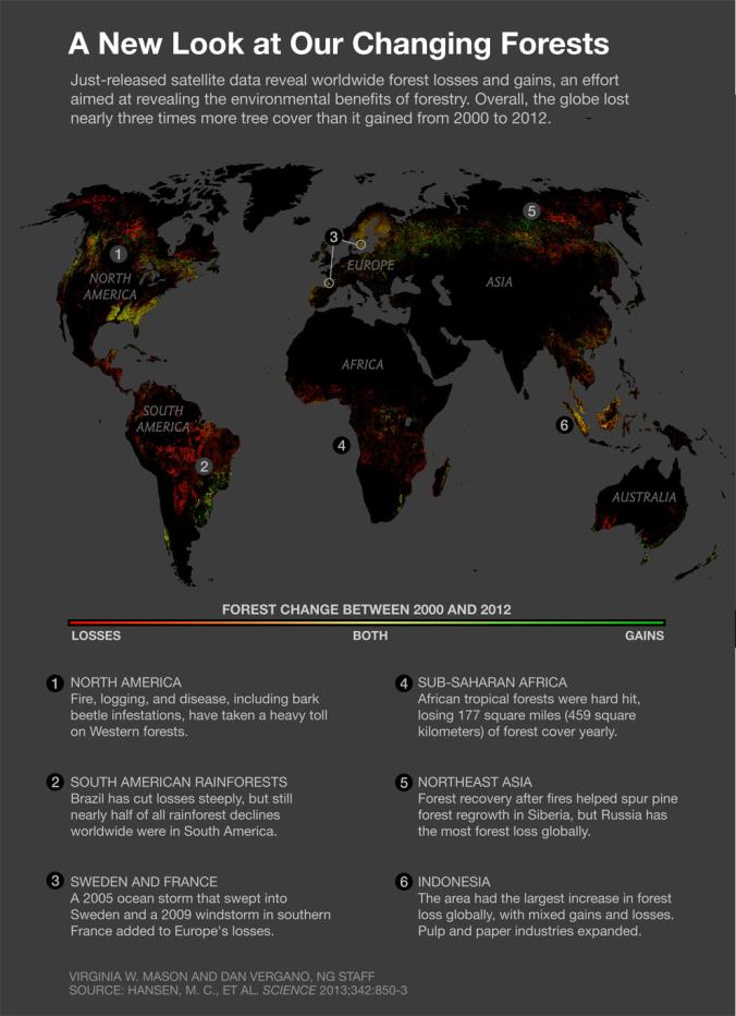 Forests change between 2000 and 2012.jpg