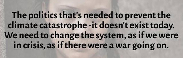 Greta - the politics thats needed.jpg