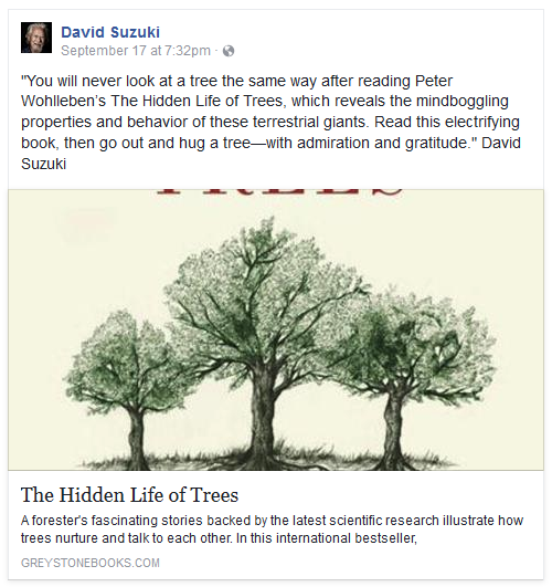 Hidden Life of Trees.png