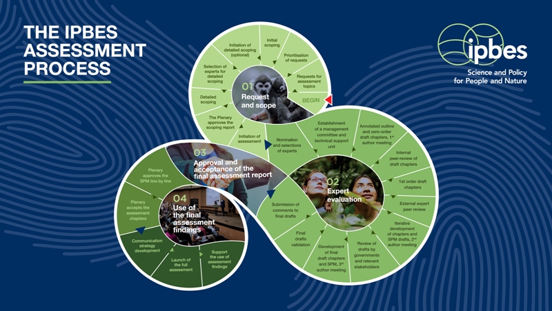 IPBES-assessment stages-a.jpg