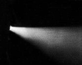 In the spotlight 2.jpg