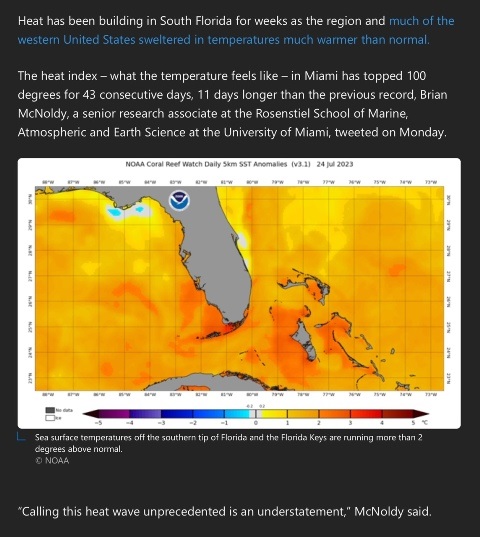 It's hot in South Florida - July 2023.jpg