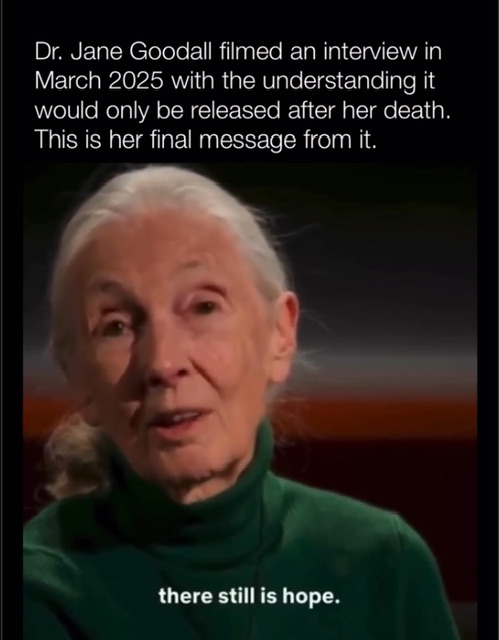 Jane Goodall, there still is hope - and action.jpeg