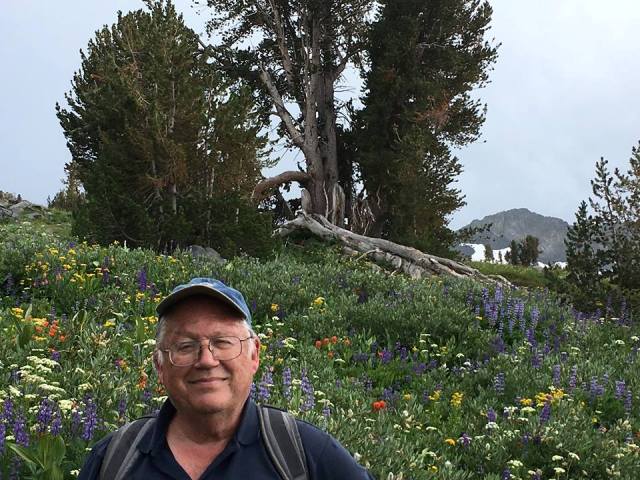 John de Graaf - nature and wildflowers.jpg