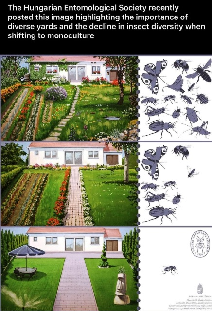 Living Diversity or Not in Your Home Yard.png