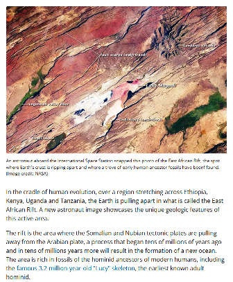 Lucy, hominid from the Rift.png