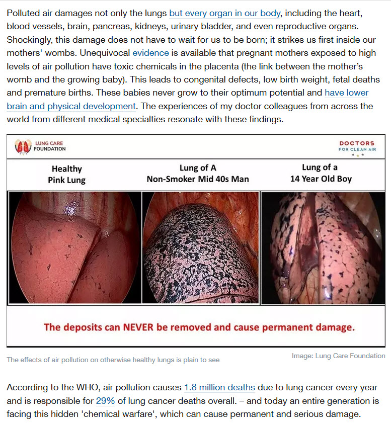 Lung Care Foundation-effects of air pollution.webp.jpg