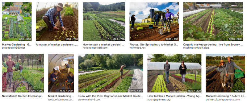 Market Gardening.png