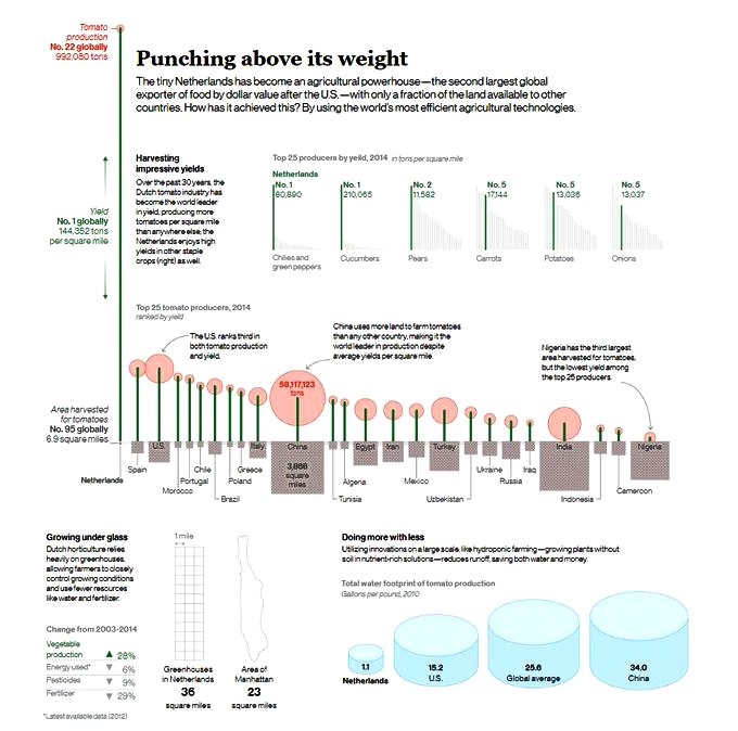 Netherlands agriculture - Outstanding results globally.jpg