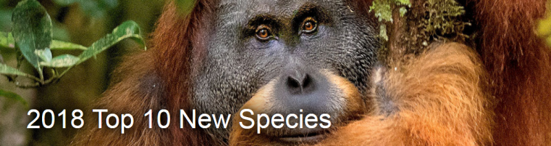 New Species Discovered-2018.png