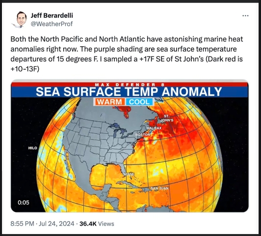 North Pacific and Atlantic sea temps - July 2024.jpg
