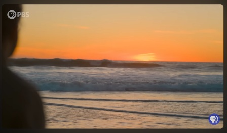 On the Beach, In the Intertidal Zone.png