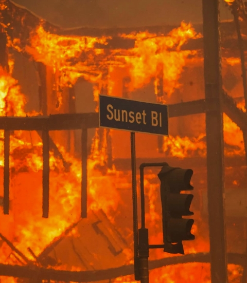 Palisades Fire - Sunset Blvd - Photo Apu Gomes.JPG