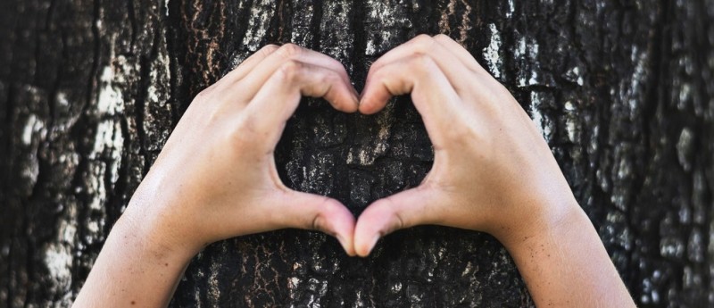 File:Protect the Natural World.jpg