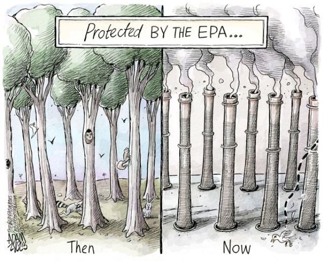 Pruitt-pol cartoon-aaec.jpg