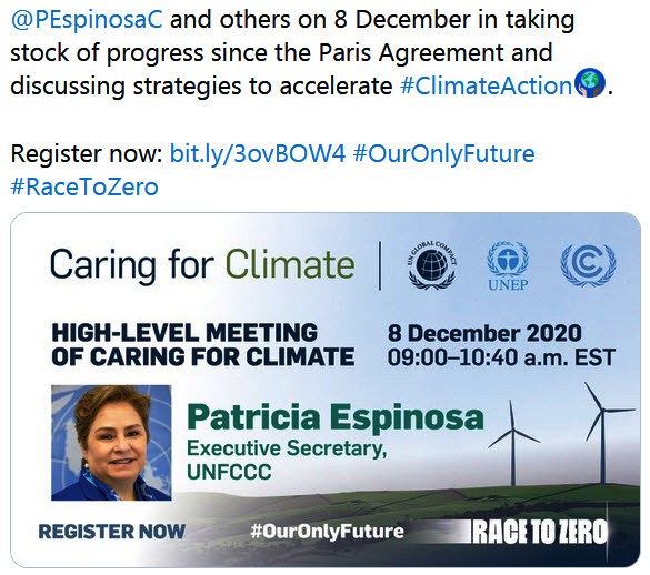 RacetoZero - Dec 2020 UNFCCC.jpg