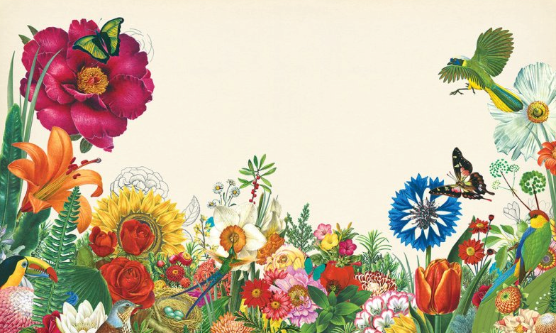 Rachel carson1 NYT-Illustration by Valero Doval.png