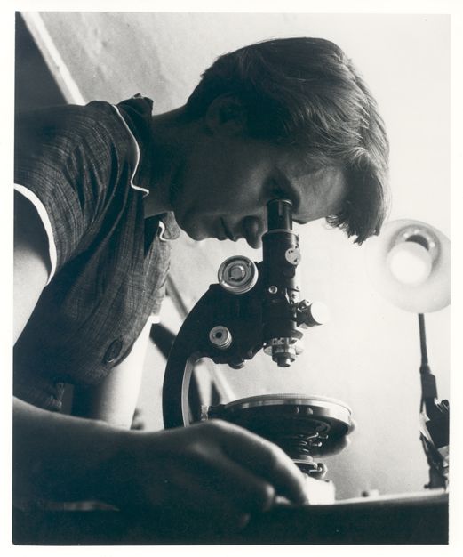 Rosalind Franklin.jpg