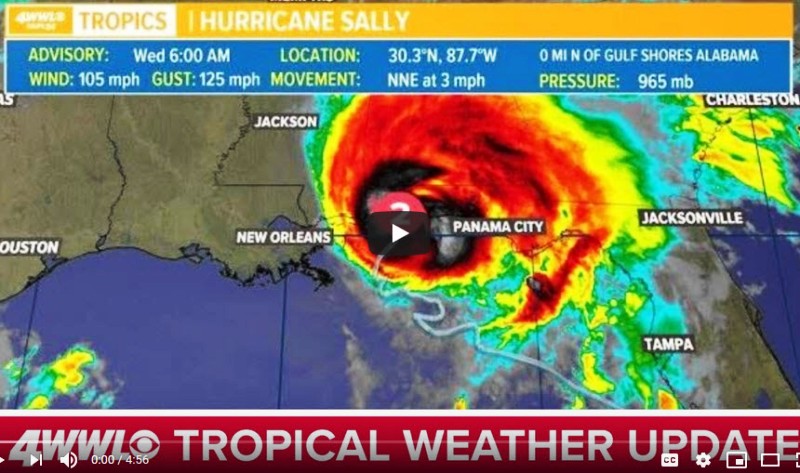 Sally - Sept 16 2020.jpg