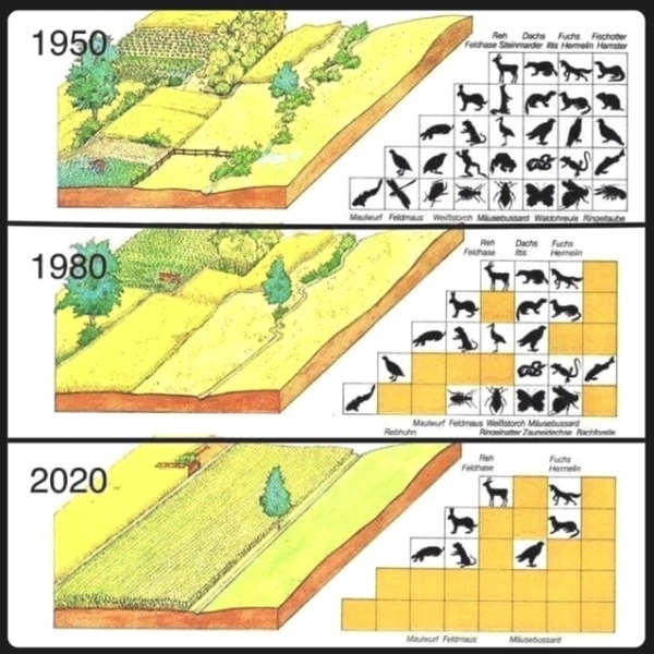 Shifting Baselines 2.jpg