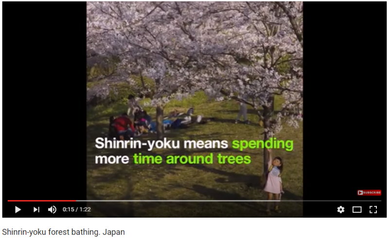 Shinrin-yoku in Japan.png