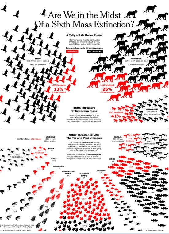 Sixth Mass Extinction Infograph-NYT - 2.jpg
