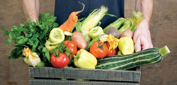 SlowFood viatimthumb.jpg