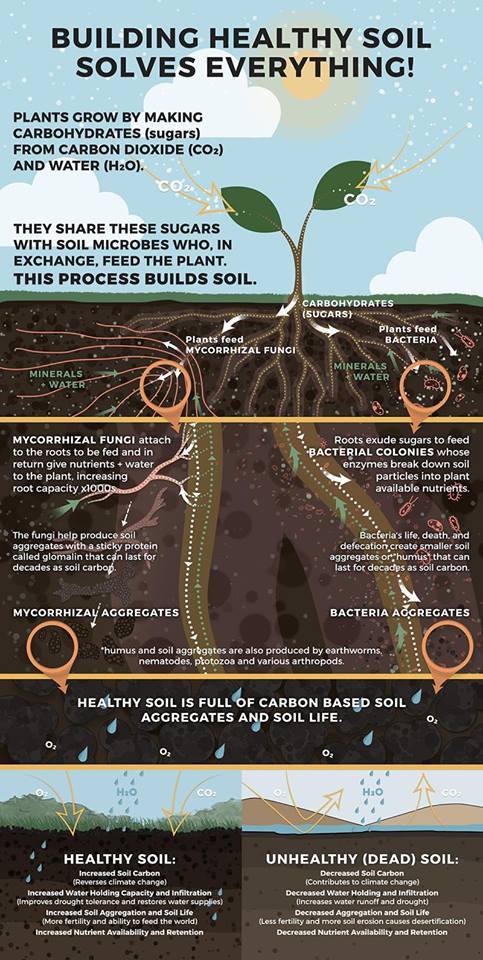 Soil is the root stuff.jpg