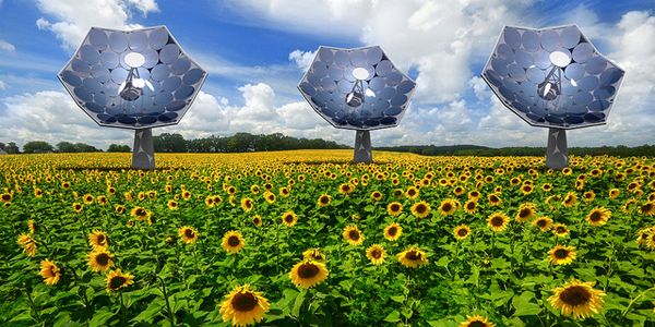 Solar sunflower designs.jpg