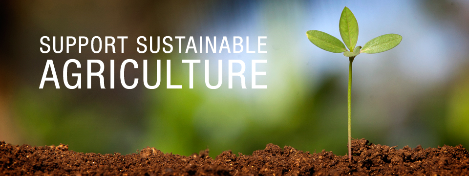 Sustainable agriculture.jpg